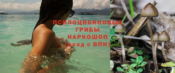 а пвп мука Балахна