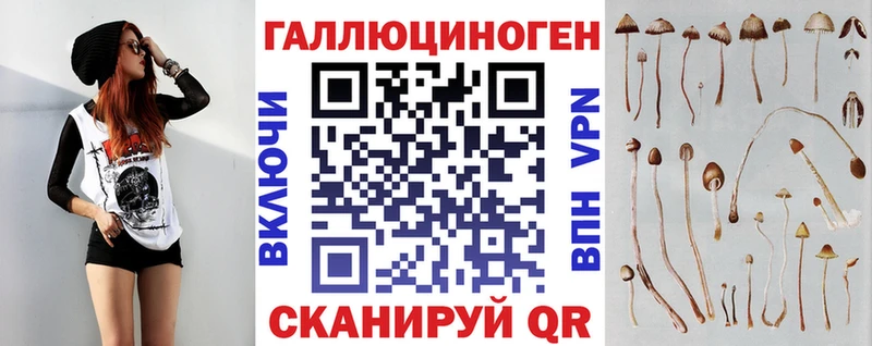что такое   Кубинка  Галлюциногенные грибы Psilocybine cubensis 